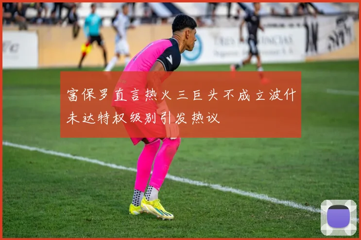 富保罗直言热火三巨头不成立波什未达特权级别引发热议